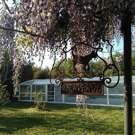 La Ferme Du Bien Etre Bed & Breakfast Athee-sur-Cher Luaran gambar